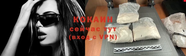 ешки Инта