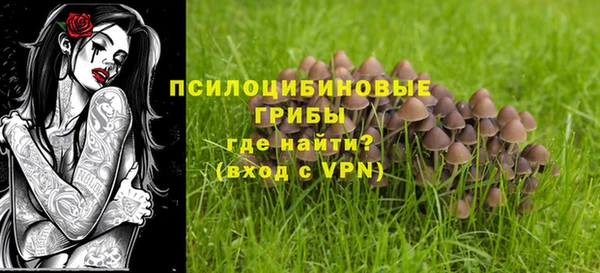 ешки Инта