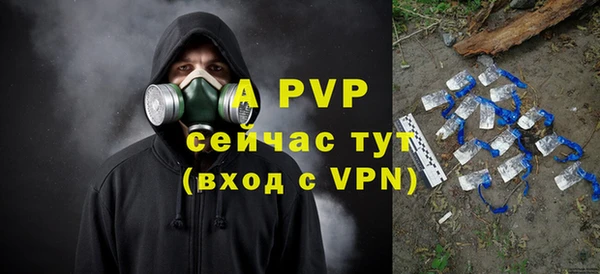ешки Инта