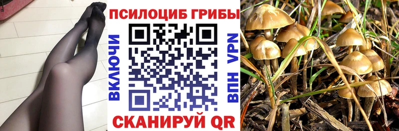 Псилоцибиновые грибы мухоморы  Купить  Мирный 